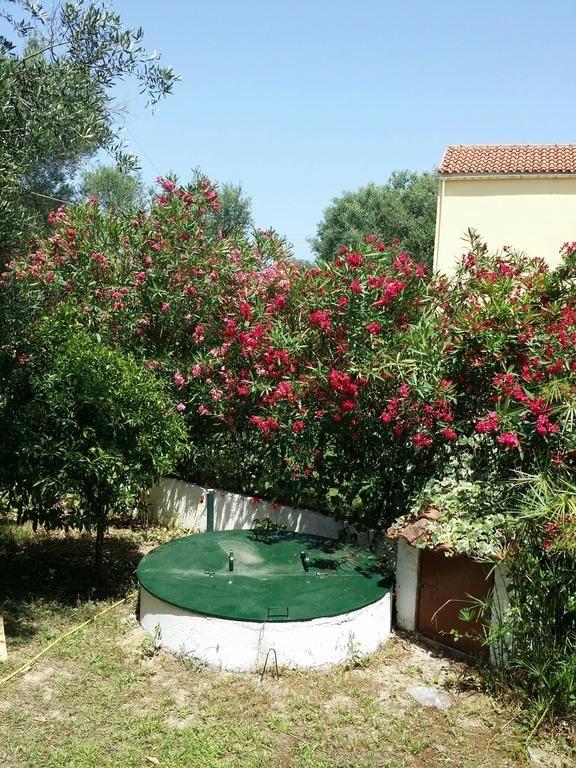 Villa Helena Kavos Exterior photo